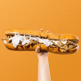 Seitan Shreds